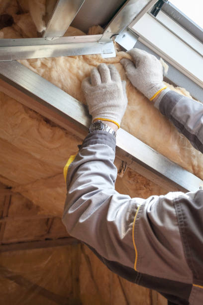 Best Insulation Maintenance and Repair in Coal Fork, WV