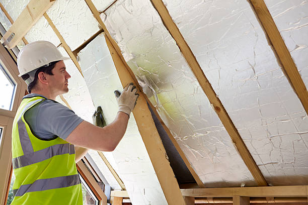 Best Insulation Installation Services in Coal Fork, WV
